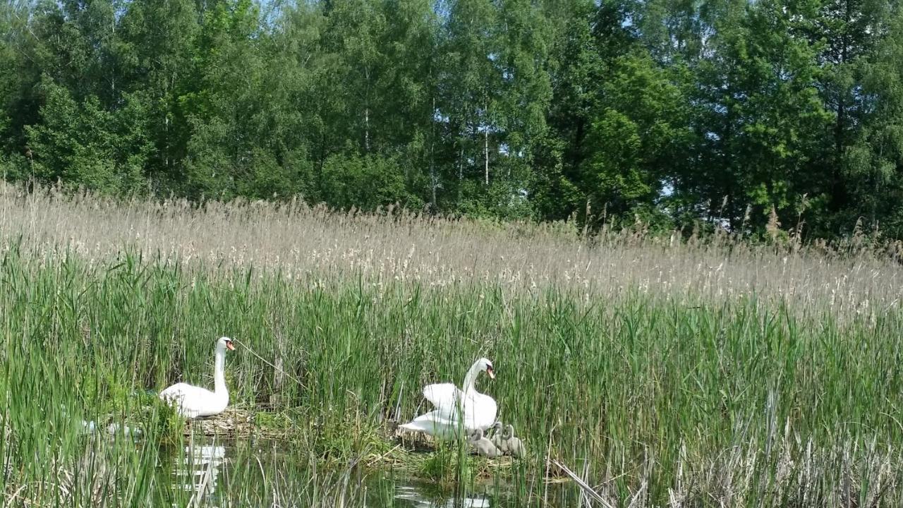 Domek Mazury - Jezioro Orzysz Exteriör bild