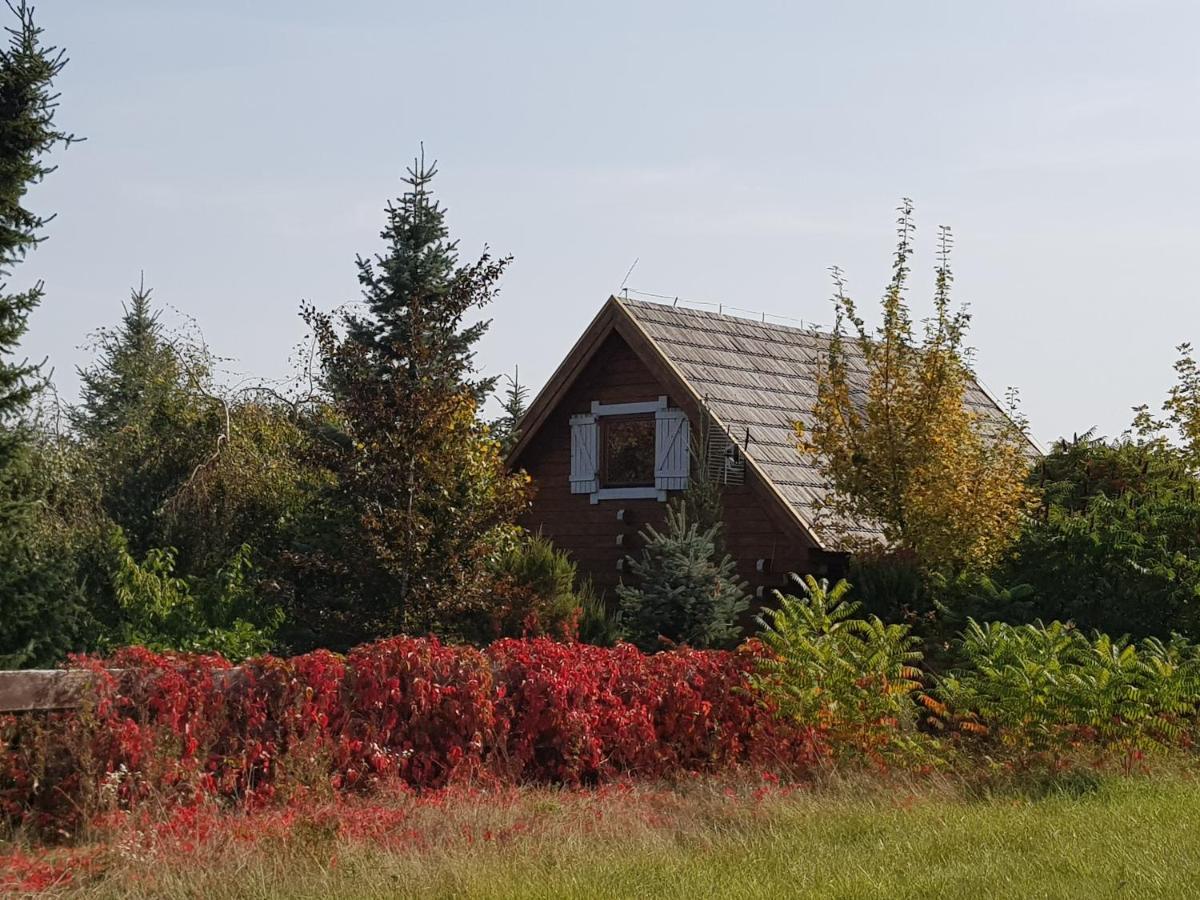 Domek Mazury - Jezioro Orzysz Exteriör bild